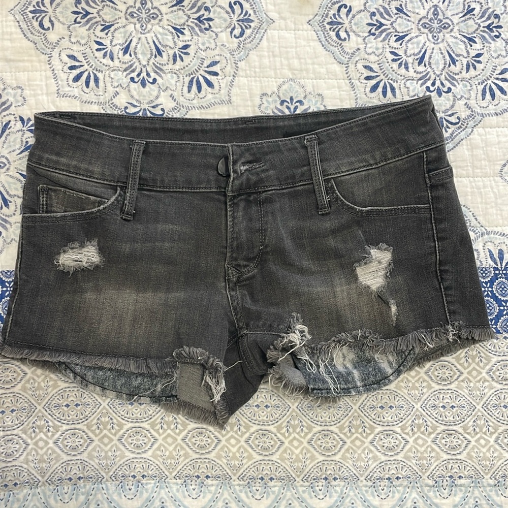 Black Orchid Black Denim Shorts